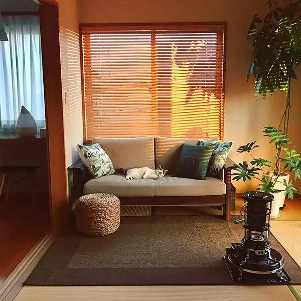 「レトロもモダンも思いのまま。こだわりが光る畳のお部屋のコーディネート」の画像