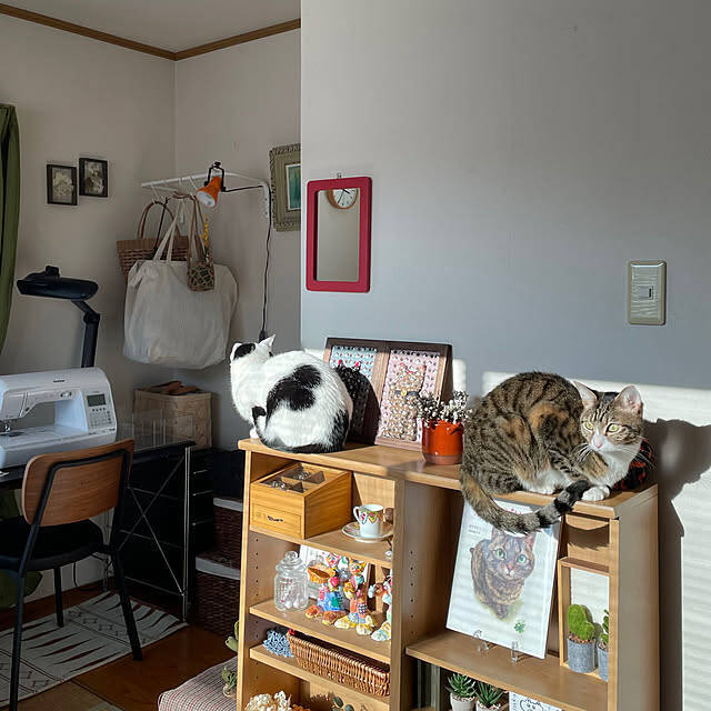 洗濯物の置き場にはもう悩まない！ダイソー系列店のランドリーバッグが優秀