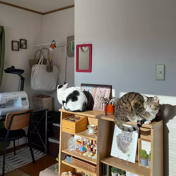 「洗濯物の置き場にはもう悩まない！ダイソー系列店のランドリーバッグが優秀」の画像