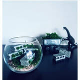 「ダイソーのナチュラルパーツで本格的な仕上がりに！自然素材を活かしたハンドメイドにチャレンジしませんか」の画像6