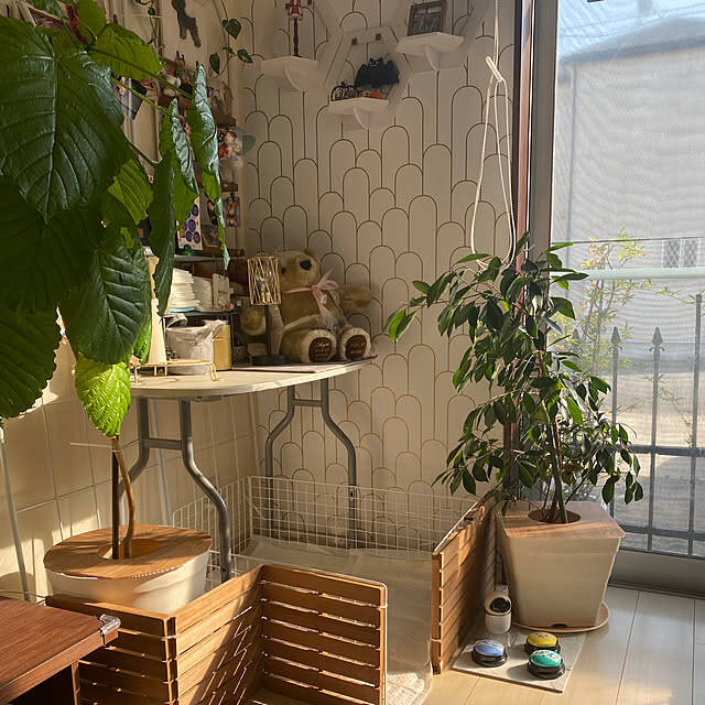 扱いやすくてDIYに最適！暮らしを快適にしてくれる100均のプラダン活用アイデア