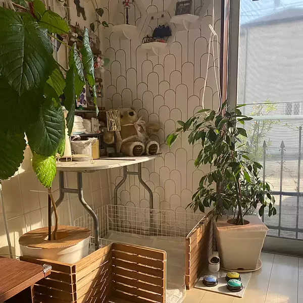 「扱いやすくてDIYに最適！暮らしを快適にしてくれる100均のプラダン活用アイデア」の画像