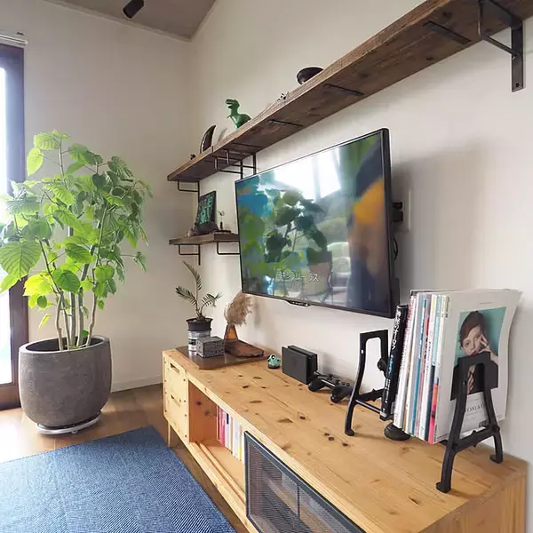 「【今週の〇〇】テーマは「植物のある暮らし」！最新の投稿写真をピックアップ」の画像