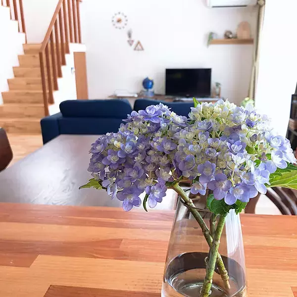 「お花を育てたり飾ったりして楽しめる♪キントーのアクアカルチャーベース」の画像