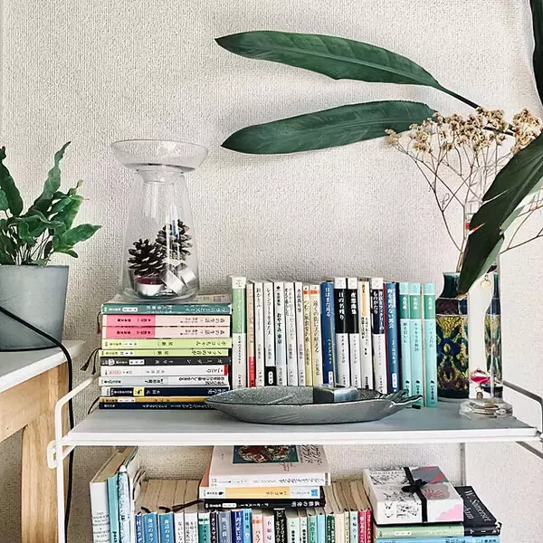 「お花を育てたり飾ったりして楽しめる♪キントーのアクアカルチャーベース」の画像