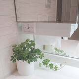 「「欲しい」と思った瞬間にすぐ手に取れる☆便利なティッシュの置き場所」の画像2