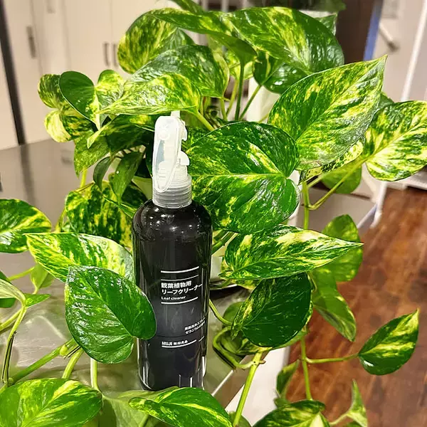 「植物アイテムも充実！今こそチェックしておきたい、無印良品のグリーングッズをご紹介」の画像