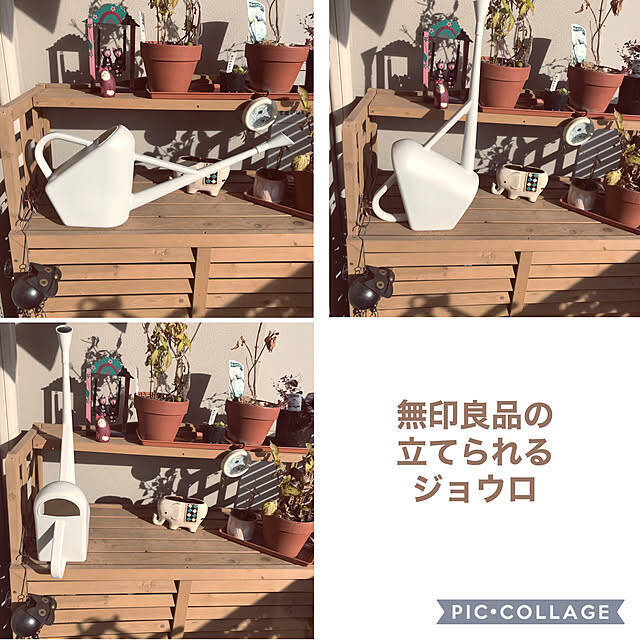 植物アイテムも充実！今こそチェックしておきたい、無印良品のグリーングッズをご紹介