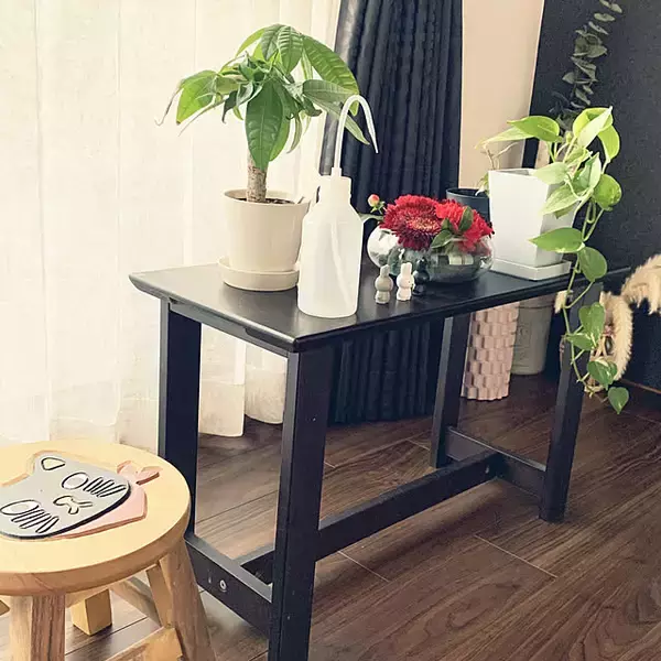 「植物アイテムも充実！今こそチェックしておきたい、無印良品のグリーングッズをご紹介」の画像