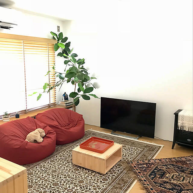 のんびりゆったりくつろげるお部屋に！無印良品の「体にフィットするソファ」のあるお部屋