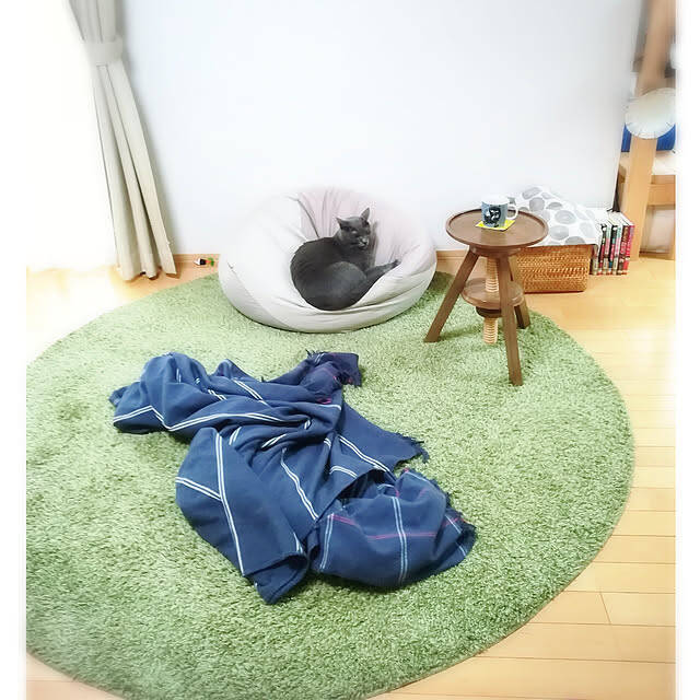 のんびりゆったりくつろげるお部屋に！無印良品の「体にフィットするソファ」のあるお部屋