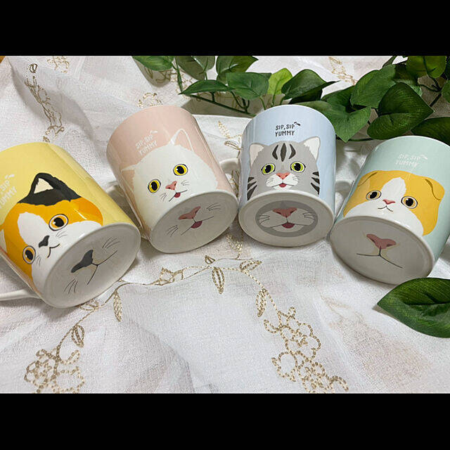 何個あってもつい買っちゃう♪来客用にもぴったりなダイソーマグカップ