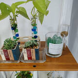 「お気に入りの香りをおうちにプラス♪ダイソーで見つけたアロマアイテム」の画像5