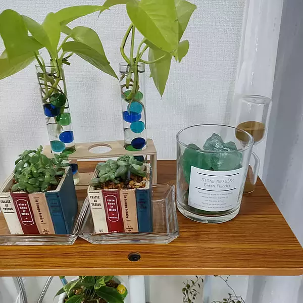「お気に入りの香りをおうちにプラス♪ダイソーで見つけたアロマアイテム」の画像