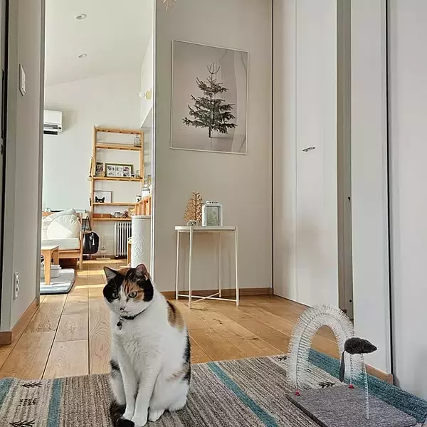 「【今週の〇〇】テーマは「玄関」！最新の投稿写真をピックアップ」の画像