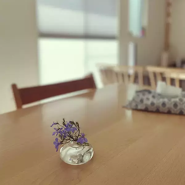 「【今週の〇〇】テーマは「植物のある暮らし」！最新の投稿写真をピックアップ」の画像