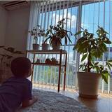 「「植物のある暮らしを洗練してくれる、室内用プラントスタンド」 by sanaさん」の画像1