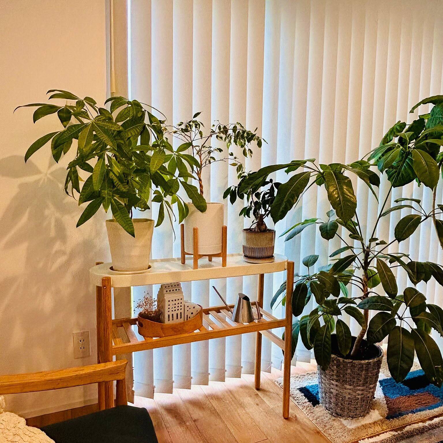 「植物のある暮らしを洗練してくれる、室内用プラントスタンド」 by sanaさん