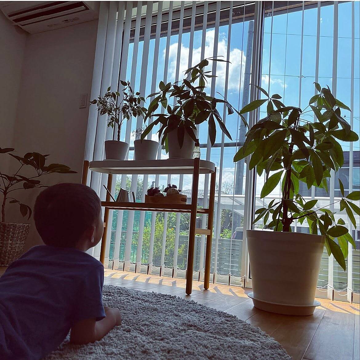 「植物のある暮らしを洗練してくれる、室内用プラントスタンド」 by sanaさん