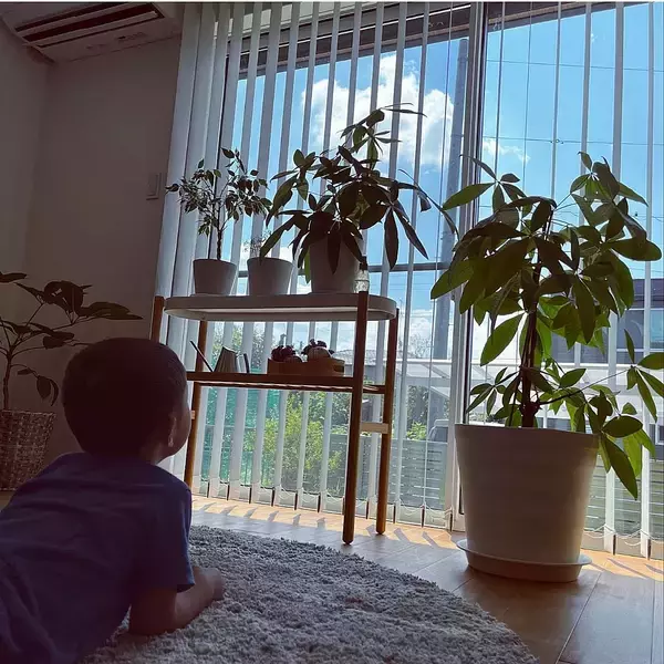 「「植物のある暮らしを洗練してくれる、室内用プラントスタンド」 by sanaさん」の画像