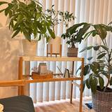 「「植物のある暮らしを洗練してくれる、室内用プラントスタンド」 by sanaさん」の画像7