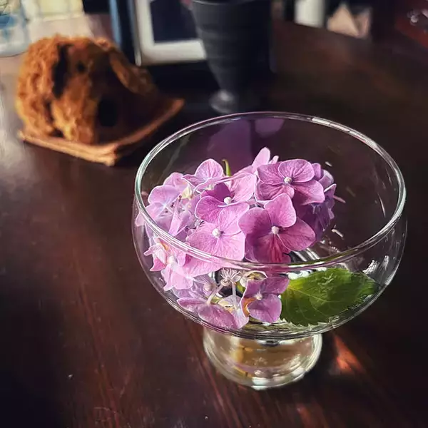 「「歴史や思い出を大切に、趣きを楽しむ穏やかな暮らし」 by YOYOさん」の画像