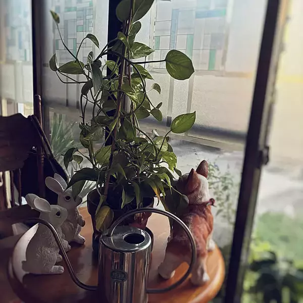 「「歴史や思い出を大切に、趣きを楽しむ穏やかな暮らし」 by YOYOさん」の画像