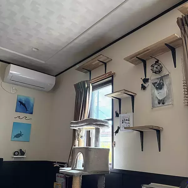 「【今週の〇〇】テーマは「DIY」！最新の投稿写真をピックアップ」の画像