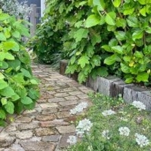 手づくりで叶える理想のお庭♡雰囲気別にチェックするDIY花壇6選