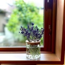 【みんなが選んだ！】花のある暮らしがもっと楽しくなる♪3COINSのフラワーベース5選