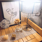 「セリアなら見つかる！ディスプレイコーナーがもっと引き立つアイテム10選」の画像2