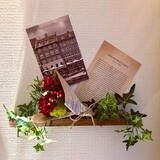 「セリアなら見つかる！ディスプレイコーナーがもっと引き立つアイテム10選」の画像6