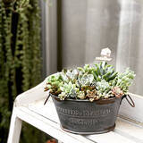 「セリアなら見つかる！ディスプレイコーナーがもっと引き立つアイテム10選」の画像9