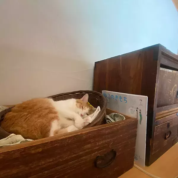 「人もペットも快適に♪ペットのくつろぎスペースのあるお部屋」の画像