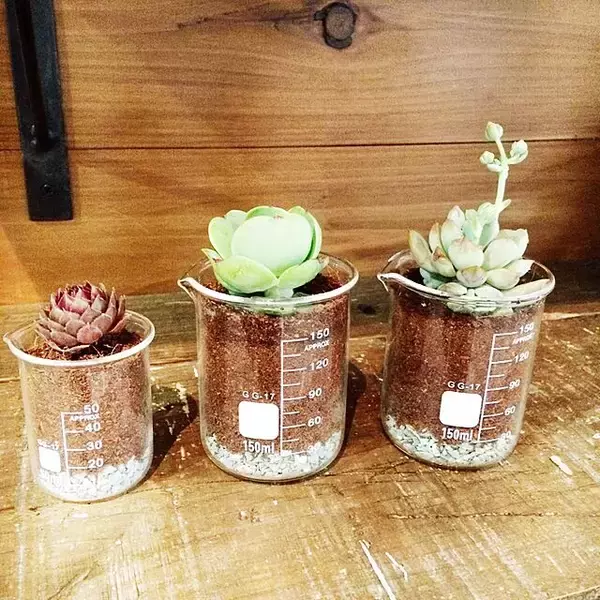 「シンプルだけど個性的☆ダイソーのアイテムで作る理系インテリア」の画像