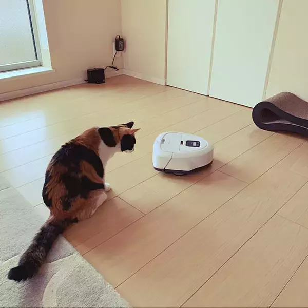 「掃除機掛けも床拭きも任せて楽に♪ユーザーさん愛用のお掃除ロボット」の画像