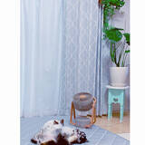 「サーキュレーターで快適空間♪デザインと機能をチェック」の画像3