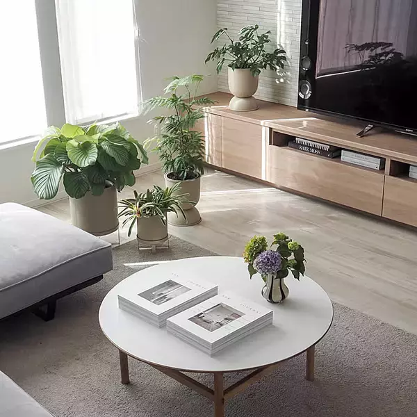 「癒される部屋は何が違う？実例から見るリラックスした空間づくりのコツ」の画像