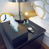 「デザイン性も機能性も充実！セリアの「ティッシュケース」カタログ」の画像3