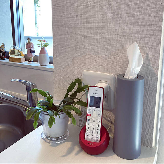 デザイン性も機能性も充実！セリアの「ティッシュケース」カタログ