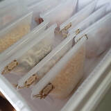 「使いやすく整えて作業効率もアップ！ダイソーのキッチン収納アイテム」の画像8