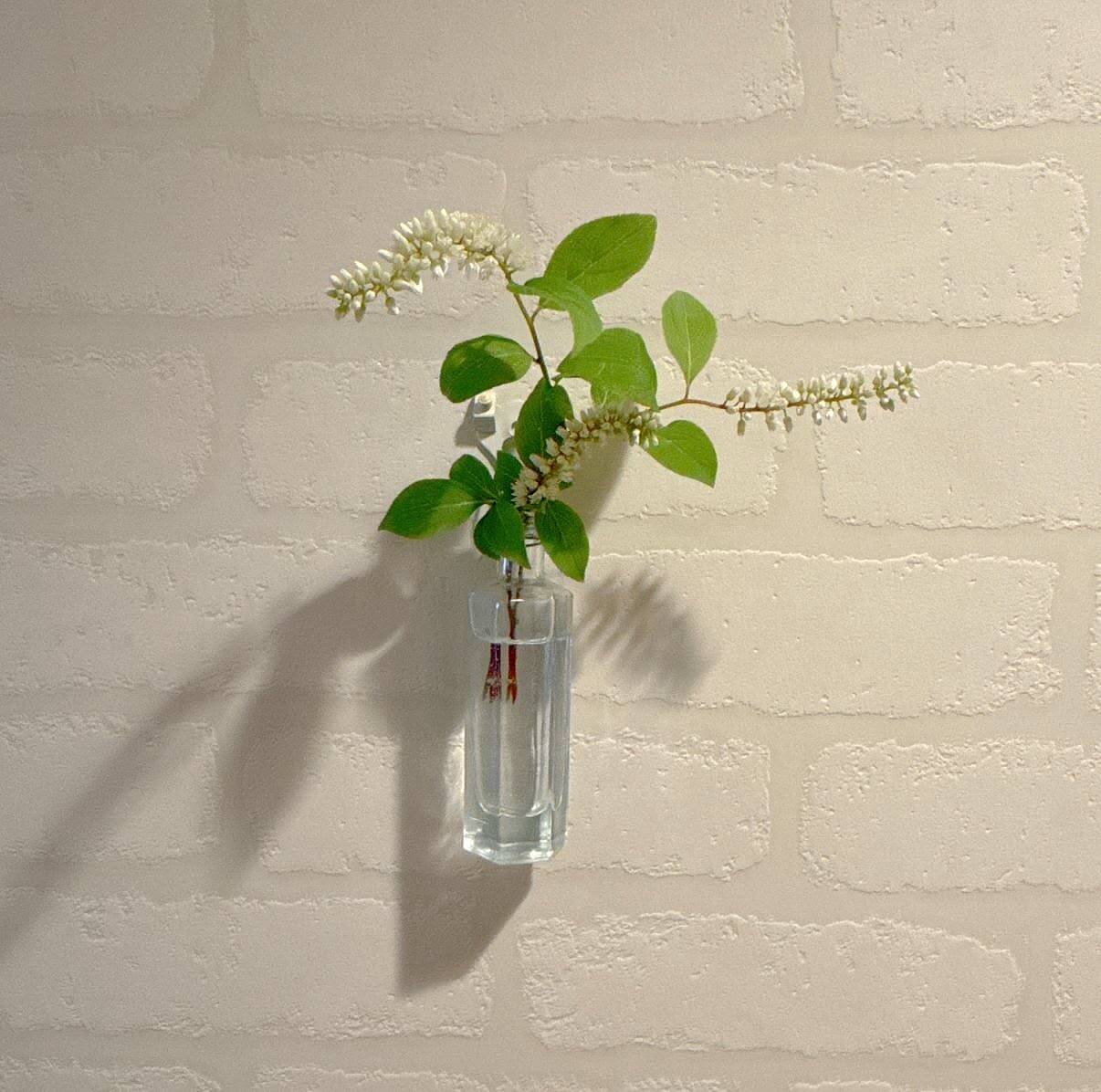 「ガラスの一輪挿しをアッという間に壁掛け仕様にする方法」 by biroballonneさん