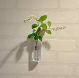 「「ガラスの一輪挿しをアッという間に壁掛け仕様にする方法」 by biroballonneさん」の画像7