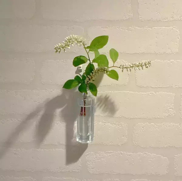 「「ガラスの一輪挿しをアッという間に壁掛け仕様にする方法」 by biroballonneさん」の画像