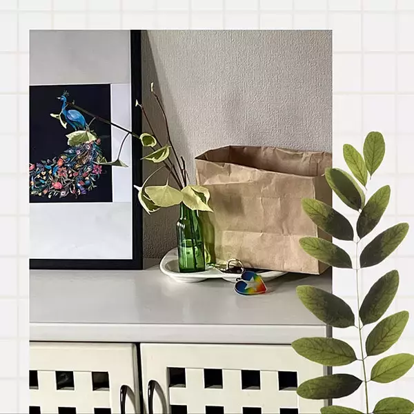 「これで快適に風邪予防☆出し入れしやすく見た目もばっちりなマスク収納」の画像