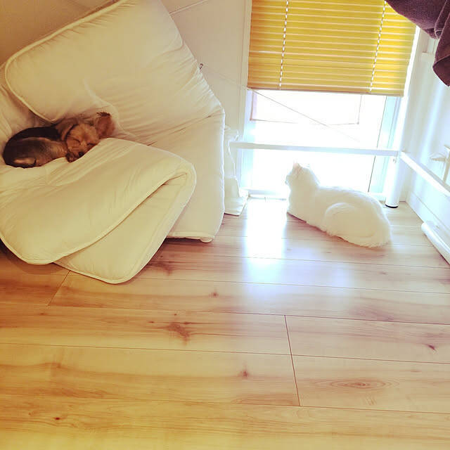 ベッドより快適かも？お部屋が広々使える「ふとん生活」の始め方