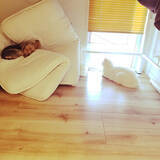 「ベッドより快適かも？お部屋が広々使える「ふとん生活」の始め方」の画像4