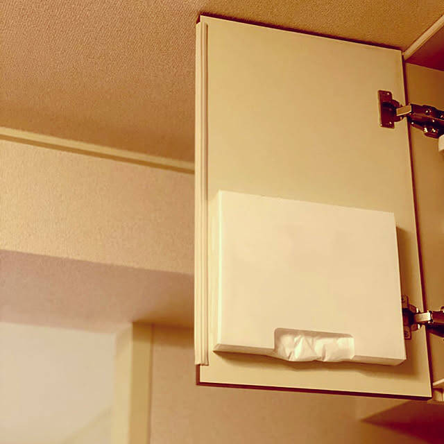 ごちゃごちゃ感を解消＆増えすぎ防止策も！紙袋・ゴミ袋の収納アイデア集