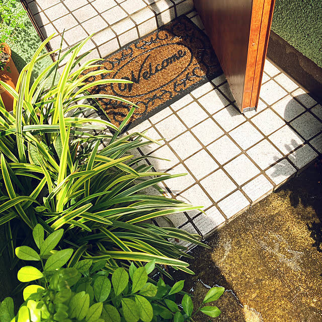 おうちの顔になる玄関はインテリアにもこだわって♪ニトリで見つけるお気に入りの玄関マット