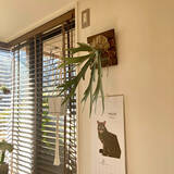 「壁にあいた穴をカバーしたい！手軽にできる壁穴隠しのアイデア実例集」の画像2